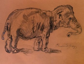 Copy of Rembrandt's Elephant, by William Eaton, Feb 2018